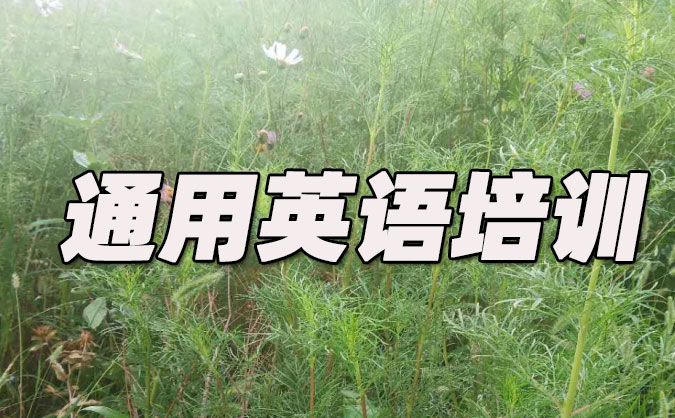 南通通用英語培訓哪里好_價格