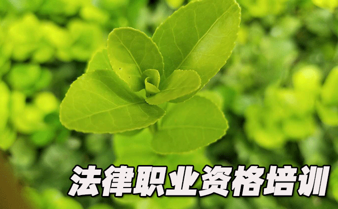 遼寧法律職業(yè)資格考試-報名條件-考試時間-考試科目