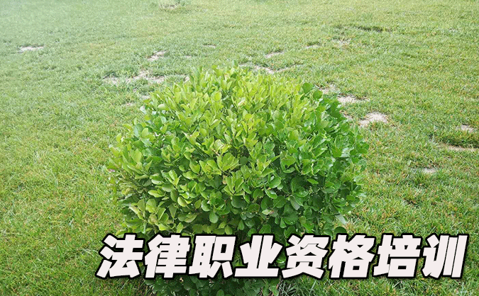 臨沂法律職業(yè)資格考試-報名條件-考試時間-考試科目