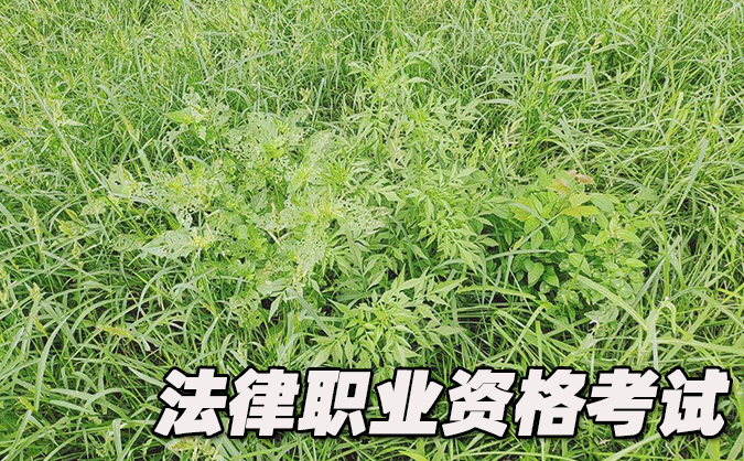 常州法律職業(yè)資格考試-報(bào)名條件-考試時(shí)間-考試科目